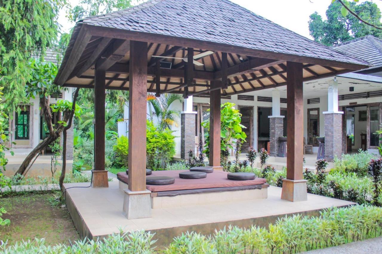 Araminth Guest House And Spa Lovina Kültér fotó