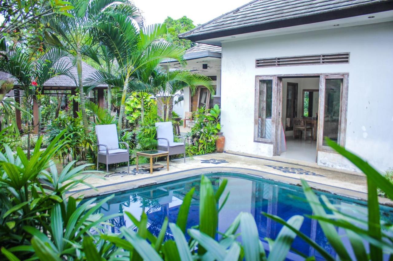 Araminth Guest House And Spa Lovina Kültér fotó