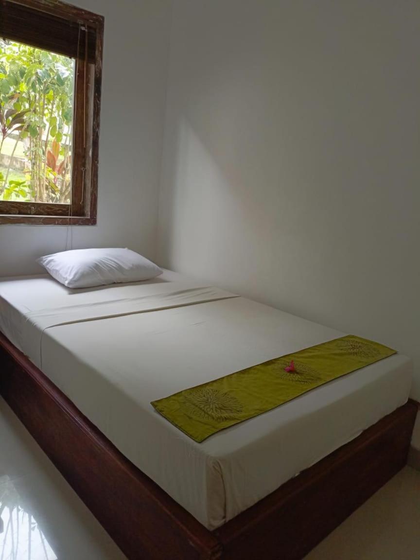 Araminth Guest House And Spa Lovina Kültér fotó